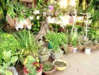 Phetthavone Guesthouse
